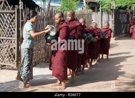 Femme de donner des aumônes la nourriture aux moines attendent en ligne, Bagan, Mandalay, Myanmar Région Banque D'Images