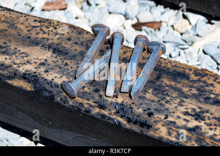 Close up of railroad crampons sur bois en Banque D'Images