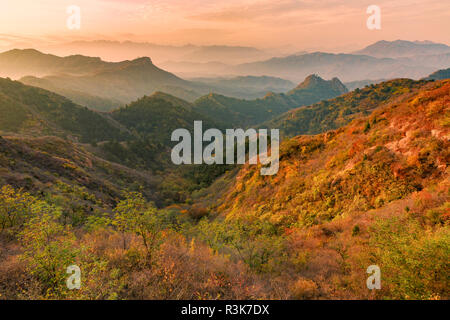 Montagnes Jinshanling au lever du soleil dans les couleurs de l'automne, à partir de la Grande Muraille de Chine, Jinshanling, Chine. Banque D'Images