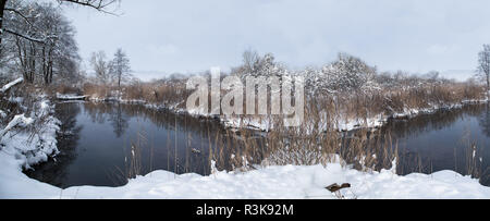 Paysage d'hiver avec le lac en suisse Banque D'Images