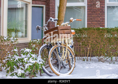 Deux vélos garés contre un arbre dans la neige Banque D'Images