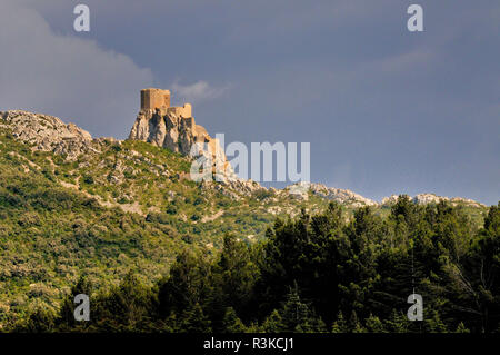 Cucugnan (sud de la France) : château de Quéribus, un château Cathare inscrit comme monument historique (Français 'Monument historique') Banque D'Images