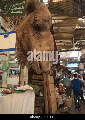 Tête de chameau à Boucherie à Fès, Maroc. Banque D'Images