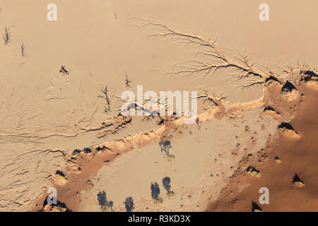 L'Afrique, la Namibie, le parc de Namib Naukluft. Vue aérienne des arbres sur Deadvlei. En tant que crédit : Wendy Kaveney Jaynes / Galerie / DanitaDelimont.com Banque D'Images