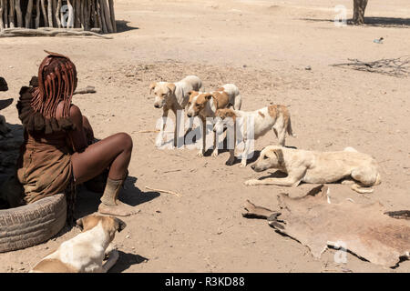 L'Afrique, la Namibie, l'Opuwo. Les chiens en attente de l'heure du déjeuner. En tant que crédit : Wendy Kaveney Jaynes / Galerie / DanitaDelimont.com Banque D'Images