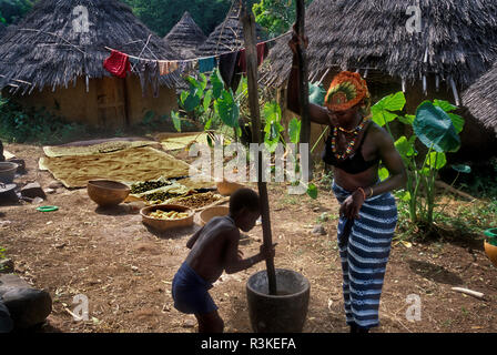 Armer Keita battre le grain dans le village d'Iwol Bedik, Sénégal, Afrique de l'Ouest. Banque D'Images