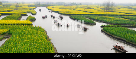 Bateau à rames sur la rivière par Thousand-Islet champs de fleurs de canola, Xinghua, Province de Jiangsu, Chine Banque D'Images