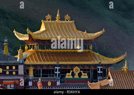 Monastère de Tagong, Tagong, l'ouest du Sichuan, Chine Banque D'Images