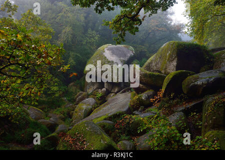 Le chaos d'HUELGOAT, des blocs de granit dans la forêt, dans les Monts dArree mountain range Banque D'Images