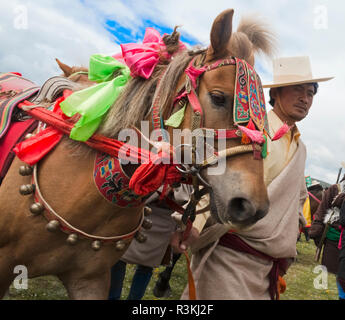 Course de chevaux du peuple tibétain à Horse Race Festival, Litang, l'ouest du Sichuan, Chine Banque D'Images