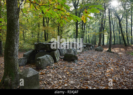 Esse (Bretagne, nord-ouest de la France) : dolmen de La Roche-aux-Fées (Les Fées' Rock), monument mégalithique enregistré comme un lieu historique national Landma Banque D'Images