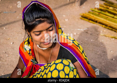 L'Inde, le Rajasthan. Nagaur, pas d'eau pas de vie, de l'expédition de bétail Nagaur Fair, vendeur, femme en sari Banque D'Images