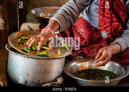 L'Inde, le Rajasthan. Nagaur, pas d'eau pas de vie, de l'expédition de bétail Nagaur Fair, cuisine en tente, woman cooking petits pois Banque D'Images