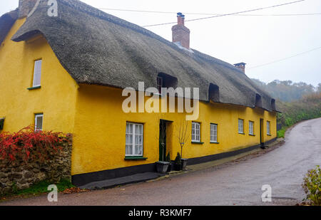 Thatched cottages jaune à Branscpmbe village dans l'est du Devon UK Banque D'Images