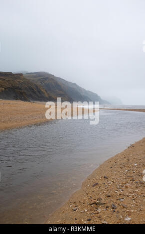 Sur la célèbre plage de la côte jurassique entre Charmouth et Lyme Regis dans West Dorset UK Banque D'Images