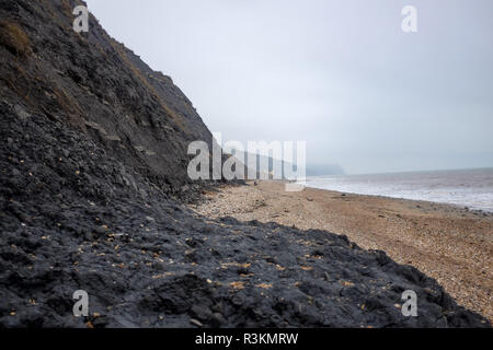 Sur la célèbre plage de la côte jurassique entre Charmouth et Lyme Regis dans West Dorset UK Banque D'Images