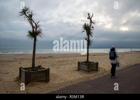 Nuages noirs orageux en novembre la météo sur l'horizon sud-ouest au large de la plage de Bournemouth, Dorset, England, UK. Une femme en marche. Palmiers dans le vent. Banque D'Images