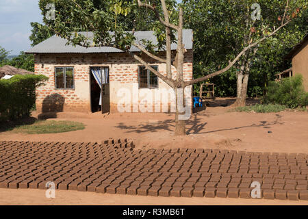 L'Afrique, l'Ouganda, Ishasha, Parc national Queen Elizabeth. Kibale. Maison de village avec le séchage des briques de boue dans la cour. Banque D'Images