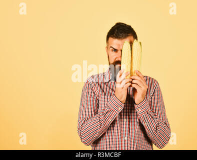 Agriculteur avec demi caché visage sérieux tient dans les mains. cors jaune Guy montre sa récolte. L'agriculture et des récoltes d'automne concept. Homme avec barbe de maïs tient c Banque D'Images