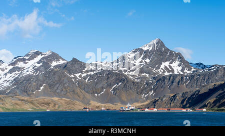 King Edward Point le centre administratif de l'île de Géorgie du Sud, Grytviken une ancienne station baleinière. L'île de Géorgie du Sud Banque D'Images