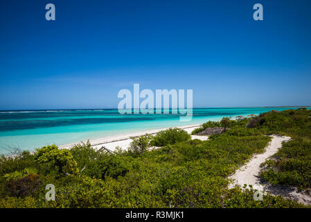 Îles Vierges britanniques, Anegada. Os Bight Beach Banque D'Images
