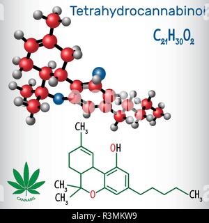 Le tétrahydrocannabinol (THC) - Structure de formule chimique et molécule modèle. Est le principal composant psychoactif du cannabis. Vector illustratio Illustration de Vecteur