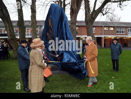 Le Prince de Galles et la duchesse de Cornouailles dévoiler une statue d'un cheval pour célébrer le 70e anniversaire du Prince, au cours de la campagne du Prince Raceday Fonds au Ascot. Banque D'Images