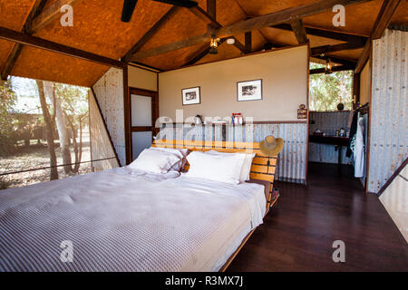 Lit double dans l'Outback australien chic derrière les murs en fer ondulé du Bamiburru Plains Lodge.Le vent souffle à travers les écrans de vol et personne ne manque la climatisation ou le Wi-Fi.Territoire du Nord, Australie Banque D'Images