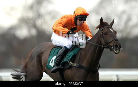 Erick Le Rouge monté par Chester Williams remporte la mise en liberté sous condition de Sodick Jockeys' Handicap Hurdle à l'hippodrome de Warwick Banque D'Images