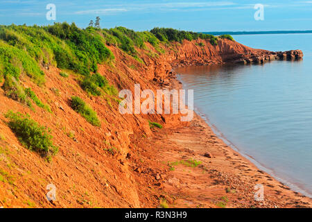 Canada, Prince Edward Island, Cape Bear. Terre rouge riche en fer le long du détroit de Northumberland. Banque D'Images