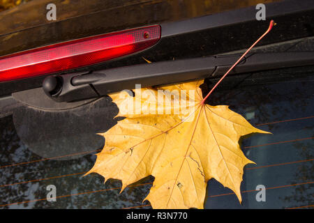 Feuille d'automne sur la fenêtre d'une voiture Banque D'Images