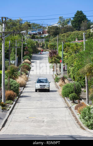 Nouvelle Zélande, île du Sud, Otago, Dunedin, Baldwin Street, rue résidentielle la plus raide du monde Banque D'Images