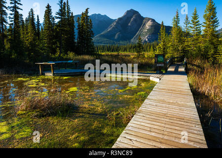 Promenade et de panneaux d'interprétation au lieu historique national Cave and Basin, Banff National Park, Alberta, Canada Banque D'Images