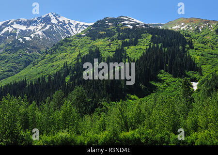 Le Canada, la Colombie-Britannique. Paysage des montagnes de la côte. Banque D'Images