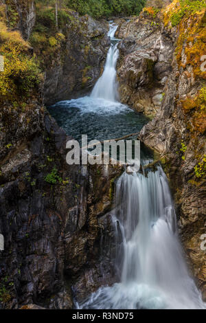 Little Qualicum Falls Provincial Park près de Parksville, Colombie-Britannique, Canada Banque D'Images