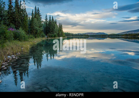 Le Canada, la Colombie-Britannique, Boya Lake Provincial Park. La réflexion du littoral Banque D'Images
