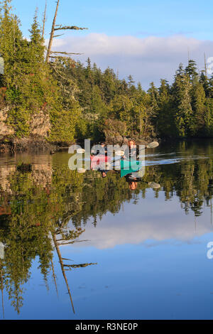 Les kayakistes à Clam Cove près de le passage Browning, au nord de l'île de Vancouver, Colombie-Britannique, Canada (M.) Banque D'Images