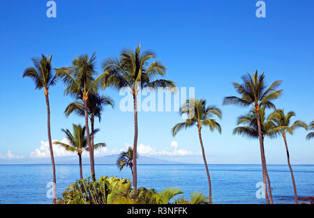 Wailea Maui coast sur l'île, USA Banque D'Images