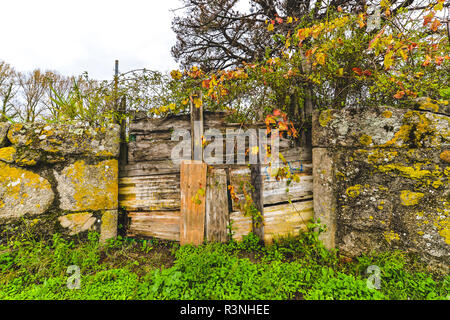 Une porte en bois à l'automne - Vigo - Galice - Espagne Banque D'Images