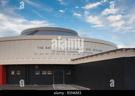 La NOUVELLE ZELANDE, Hawkes Bay, Napier. L'Aquarium National de Nouvelle-Zélande Banque D'Images