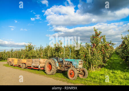 Altes Land - Allemagne Banque D'Images