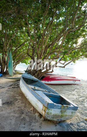 Les îles Vierges, Saint Thomas. Magens Bay Beach Banque D'Images