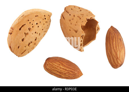 Les amandes sont pelées et non épluché isolé sur fond blanc sans une ombre de près. Vue d'en haut Banque D'Images