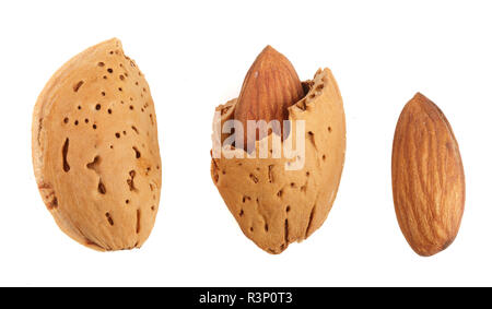 Les amandes sont pelées et non épluché isolé sur fond blanc sans une ombre de près. Vue d'en haut Banque D'Images