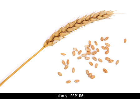 Des grains et des épis de blé isolé sur fond blanc. Vue d'en haut Banque D'Images