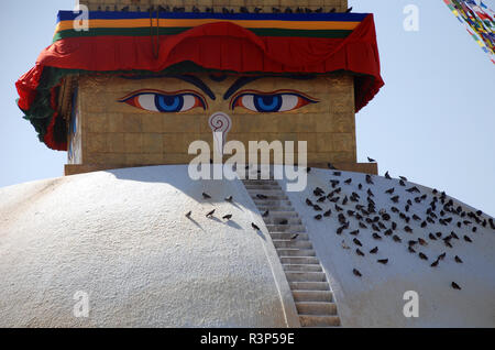 Le stupa bouddhiste à Boudhanath à Katmandou Banque D'Images