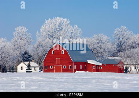 Canada, Manitoba, Grande Pointe. Grange rouge contraste avec la neige d'hiver. Banque D'Images