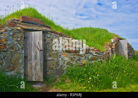 Le Canada, Terre-Neuve, Elliston. Le stockage d'aliments Pierre caves. Banque D'Images