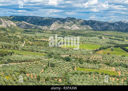 Les Baux de Provence, vallée, Provence, France, Europe Banque D'Images