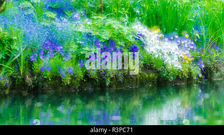 Des fleurs dans le jardin de Claude Monet, Giverny, France Banque D'Images